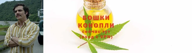 мдпв Богородск