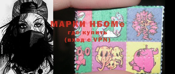 мдпв Богородск