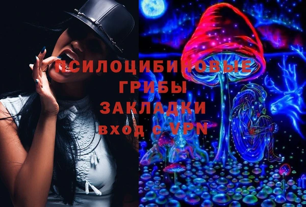 прущие крисы Верхний Тагил