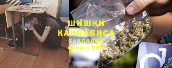 мдпв Богородск