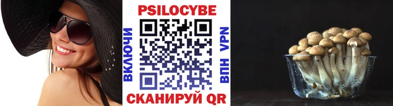 Галлюциногенные грибы Psilocybine cubensis  Купить где  Моздок 